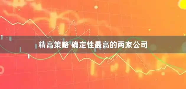 精高策略 确定性最高的两家公司