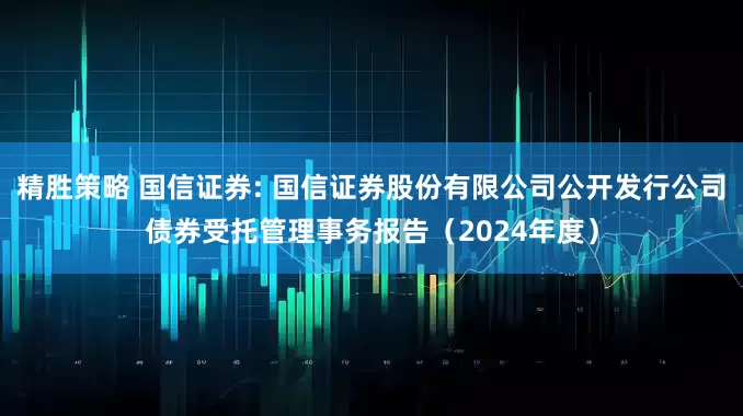 精胜策略 国信证券: 国信证券股份有限公司公开发行公司债券受托管理事务报告(2024年度)