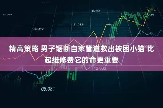 精高策略 男子锯断自家管道救出被困小猫 比起维修费它的命更重要