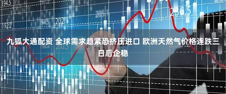 九狐大通配资 全球需求趋紧恐挤压进口 欧洲天然气价格连跌三日后企稳